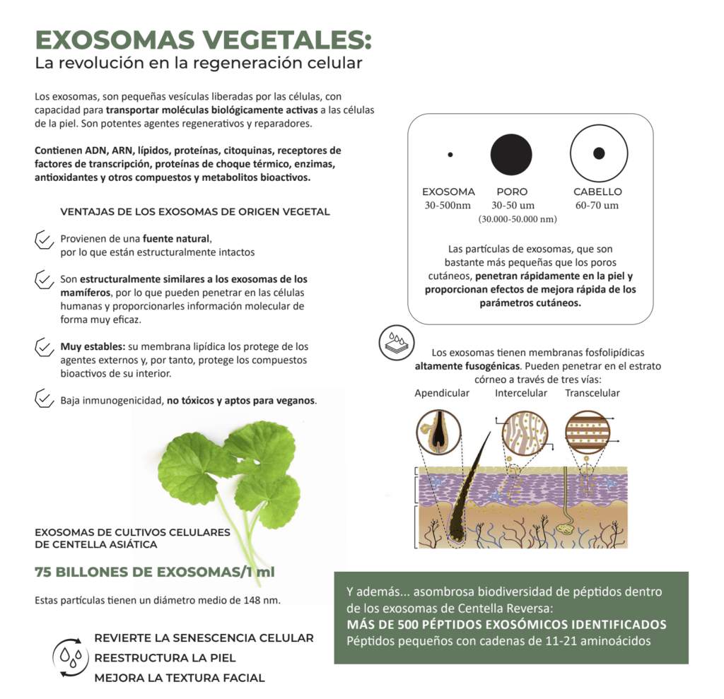 exosomas con retinal de utsukusy