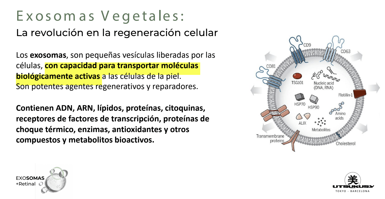 exosomas con retinal de utsukusy